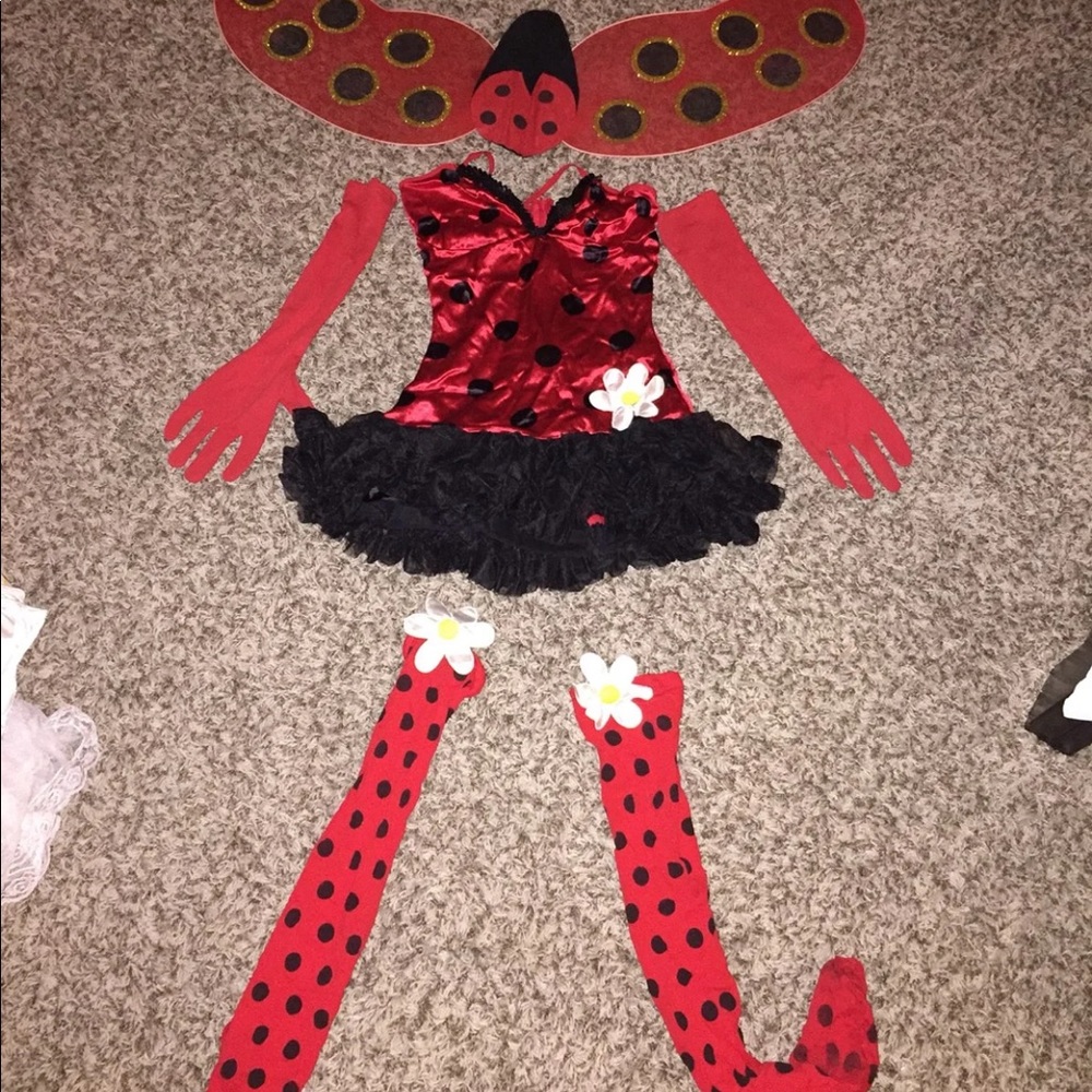 Lady bug Halloween costume